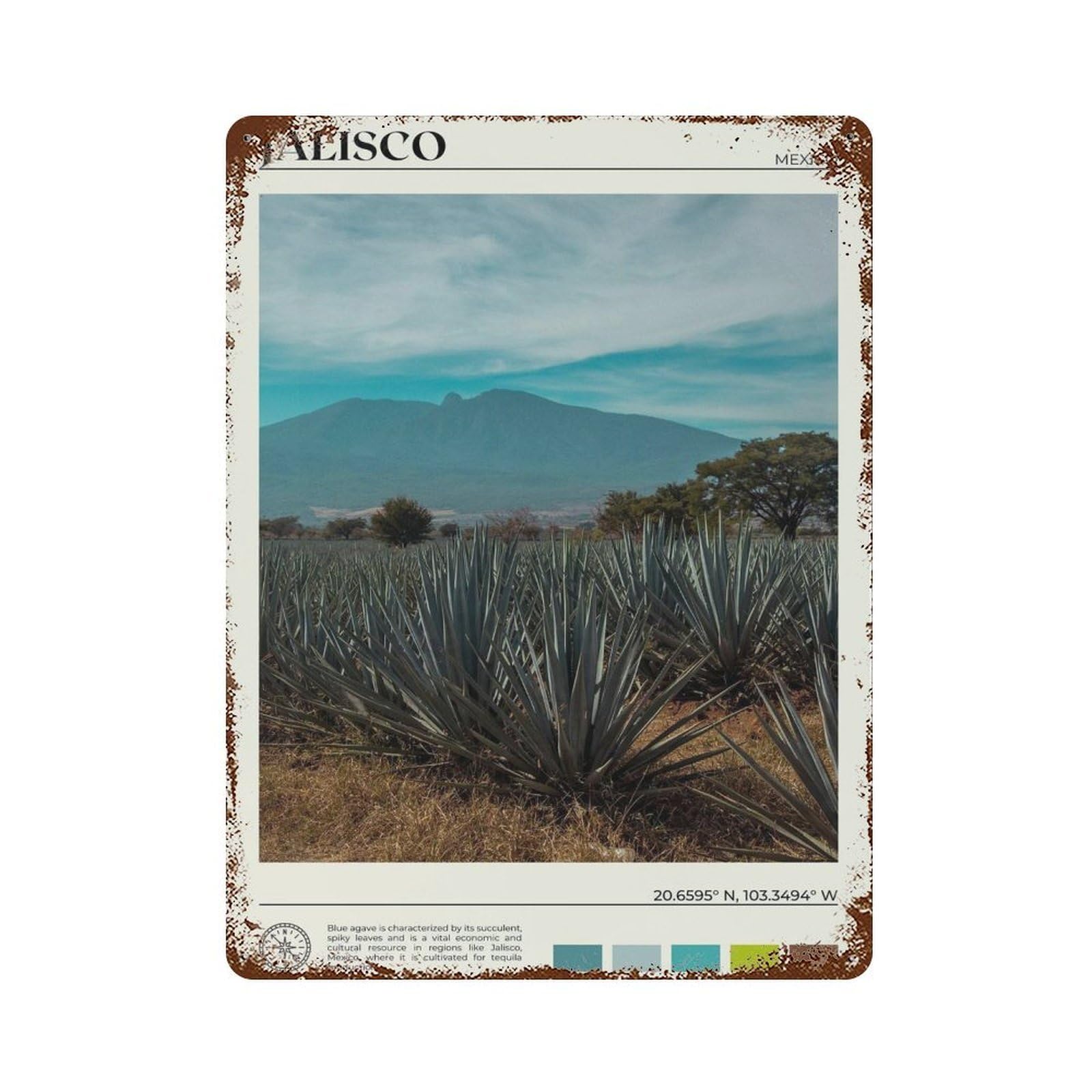 xiaoxiaoshen Real Photo Jalisco Decor Mexico Wall Decor Art Metal Tin Poster Modern Home Decor Art Home Bar Shop Decorations Vintage Sign 40x30cm