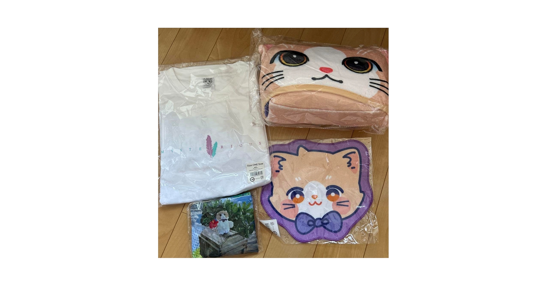 ★ 最安値・早い者勝ち！即購入⭕️ RAMPAGE 藤原樹クッション シークレット THE RAMPAGE 藤原樹 実写 スクエアクッション THE RAMPAGE・藤原