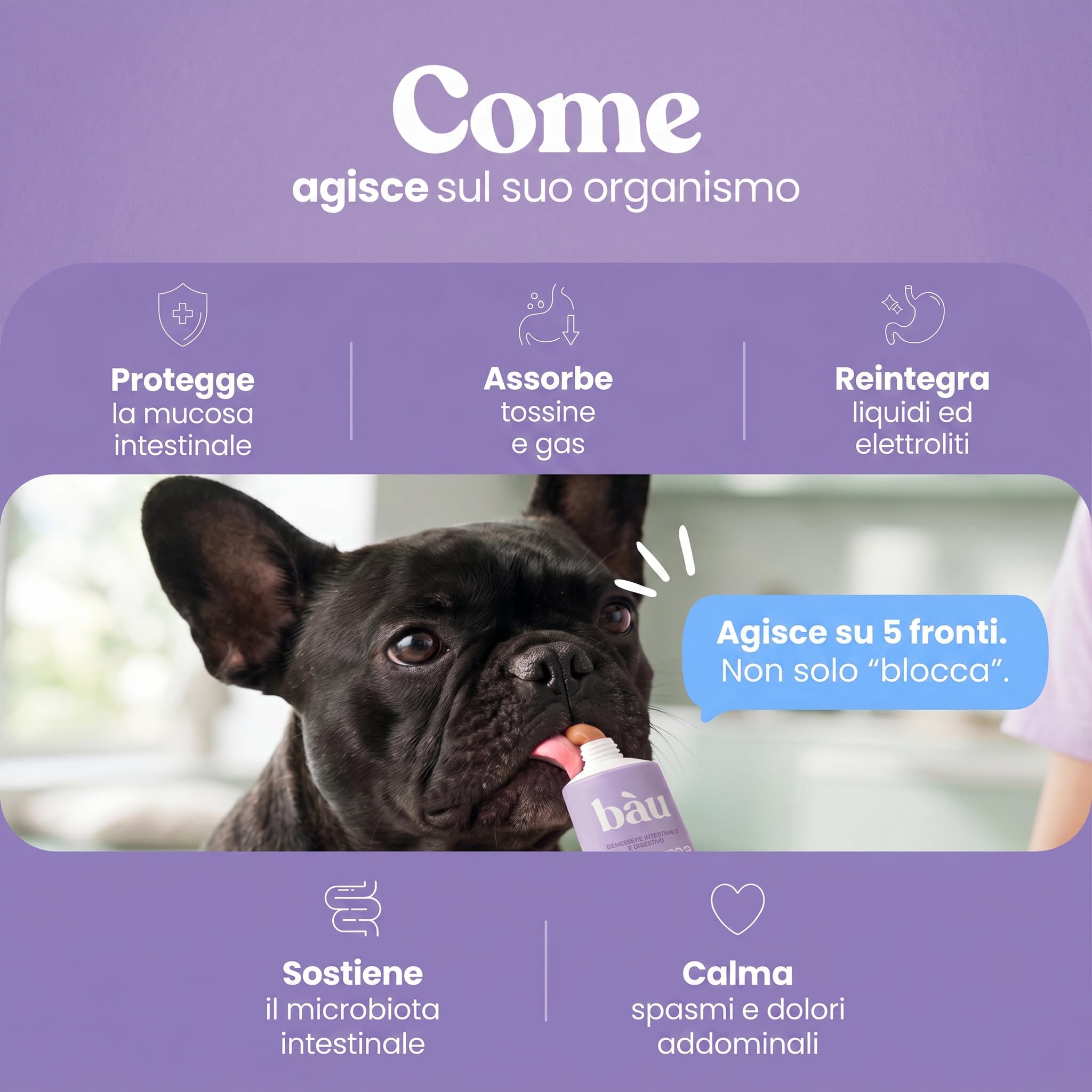 Bau Sollievo Intestinale Cane per Diarrea in Pasta con Elettroliti e Fibre, Mangime Complementare Supporto Regolarità Intestinale, Formula Appetibile per Cani e Cuccioli, Facile da Somministrare