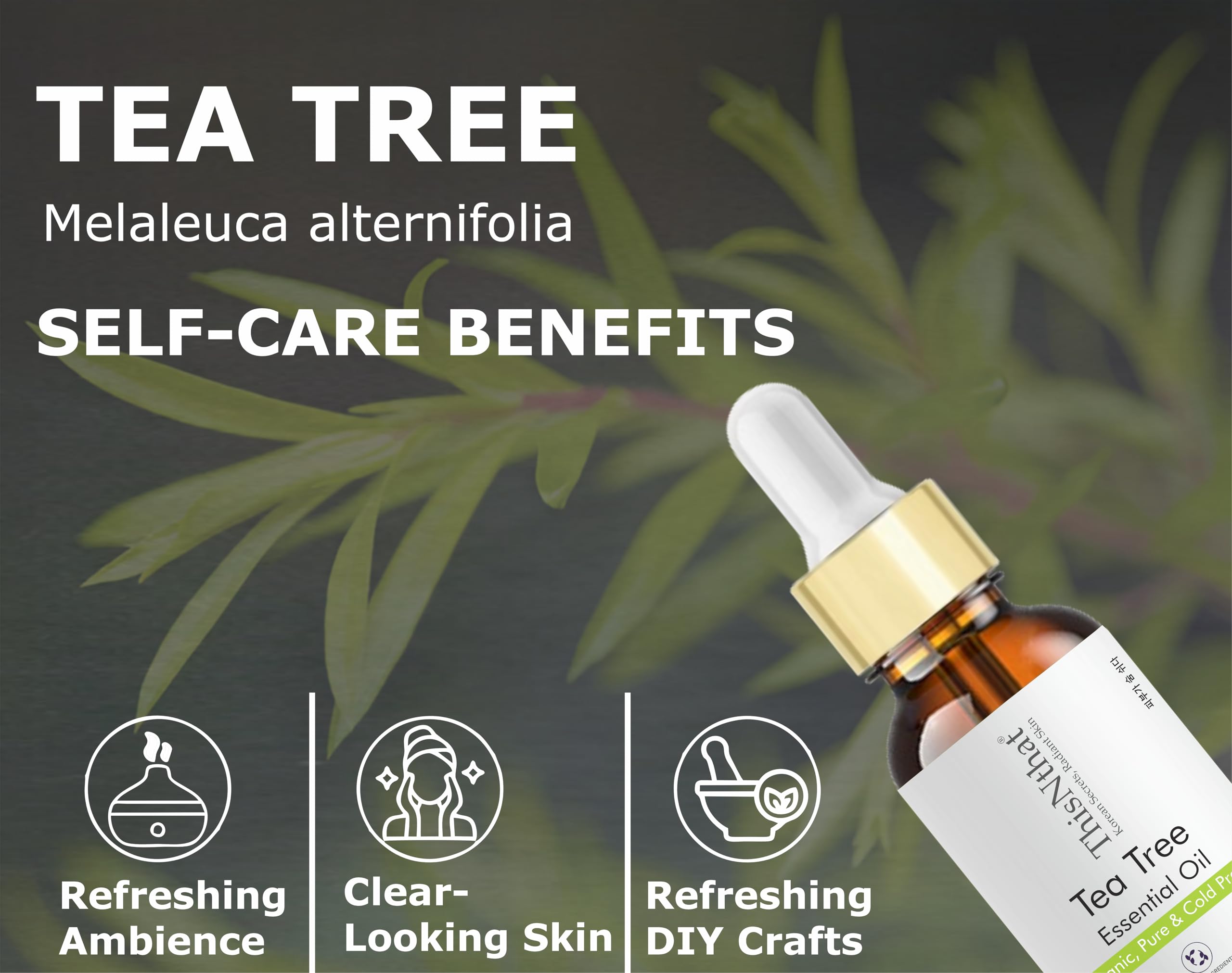 ThisNthat Tea Tree Essential Oil (30ml) – 100% Pure & Natural | For Acne, Dandruff, Skin & Hair, Diffuser, Anti-Fungal & Aromatherapy | Therapeutic Grade with Dropper 1