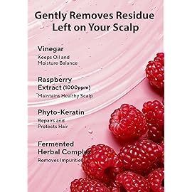 APIEU Raspberry Vinegar Hair Shampoo - Dandruff & Clarifying Shampoo with Scalp Treatment. Balances pH, Removes Buildup, Soothes Scalp. Korean Hair Care. 16.9 fl.oz