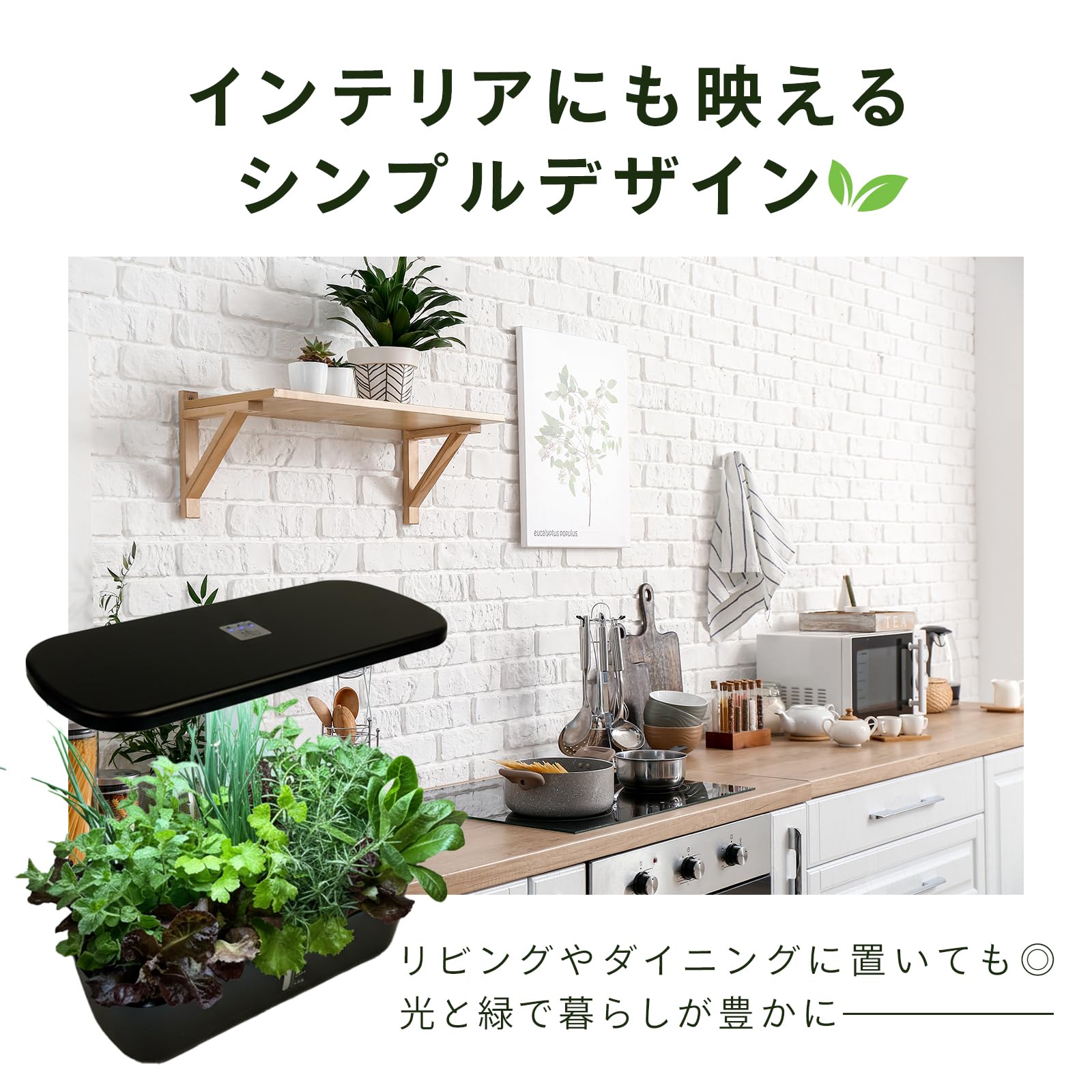 Amazon.co.jp: 水耕栽培キット 簡単操作・水耕栽培セット。・LED植物
