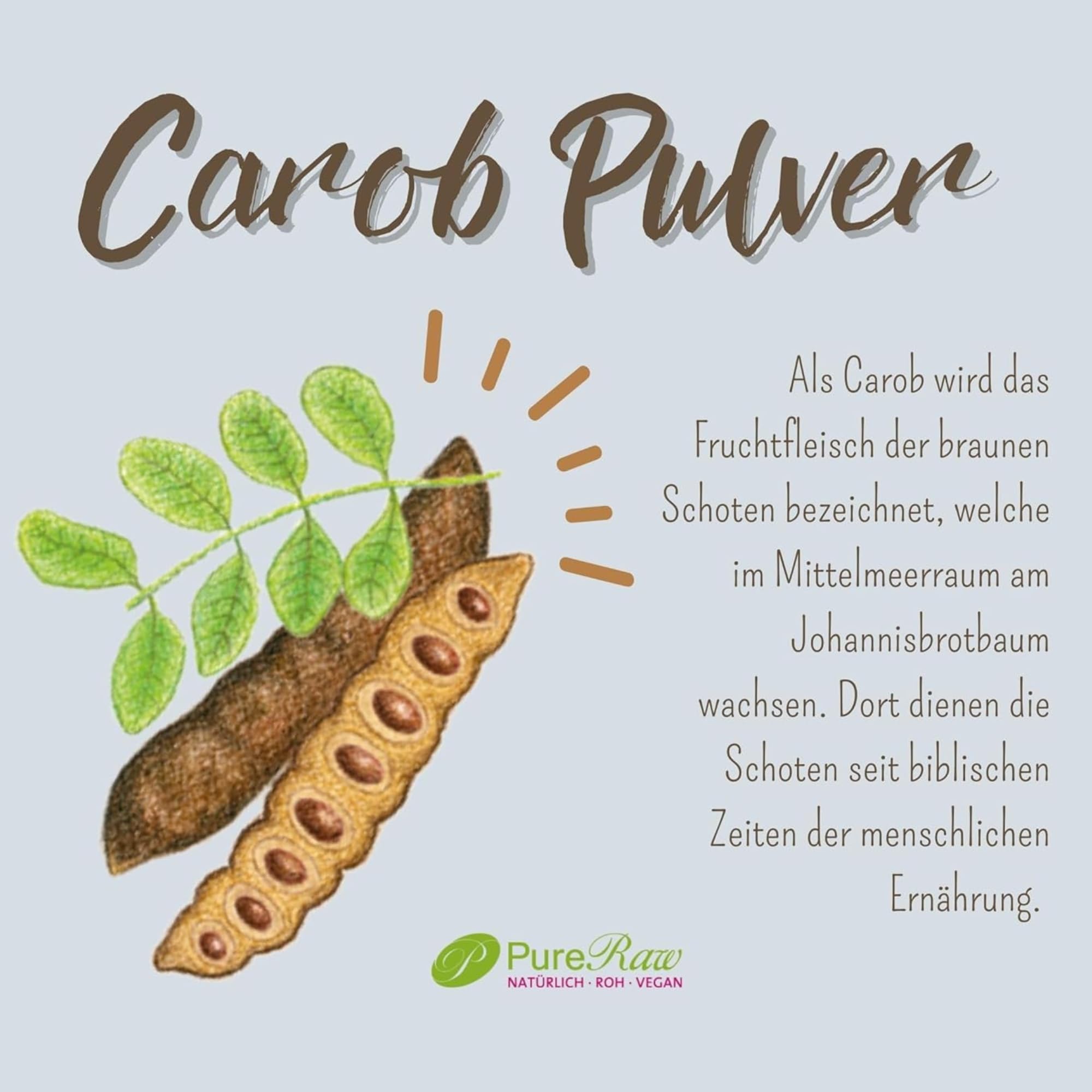 Carobpulver Bio Vegan - Natürliche Süße, Ballaststoffreich, reich an Mineralien, Koffeinfrei - Kakao Alternative für Trinkschokolade ohne Zucker - Johannisbrot Pulver Bio, Carob Powder I PureRaw 240g