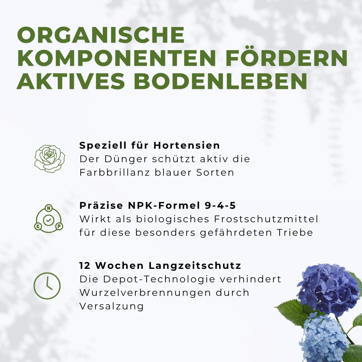 Flora Boost PRO Hortensien Dünger 5 kg I Langzeitdünger NPK 8-5-5 für Bauern-, Rispen- & Tellerhortensien I Granulat für üppige Blüten, kräftiges Wachstum & gesunde Pflanzen