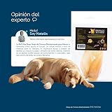 Ver la foto 8