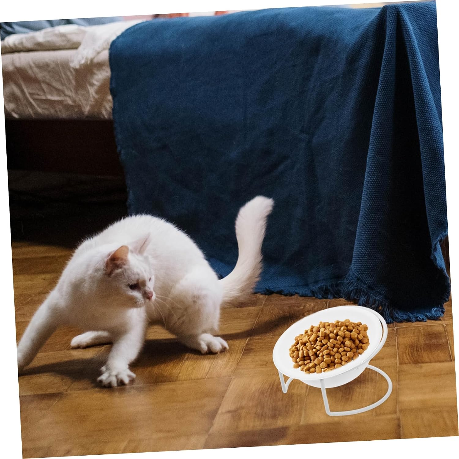 Disposable PET Feeding Bowls Round Paper Set with Rack, Large Capacity image 5
