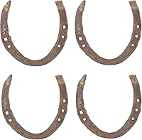 Vista 9 de Wonder Care Herradura auténtica usada herradura amuleto de buena suerte rústico auspicioso regalo de la suerte de hierro fundido real herradura