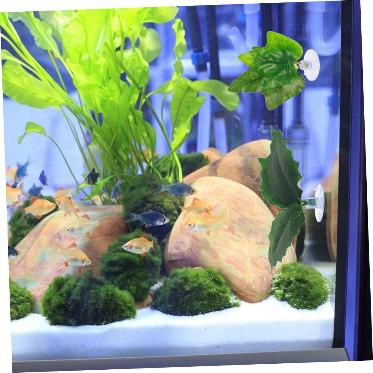 3 set Decorazione Con Foglie Finte Piante Finte Ornamenti Per Acquari Foglie Artificiali Per Acquari Decorazioni Con Viticci Foglie Acquatiche Finte Piante 10 pezzi*3