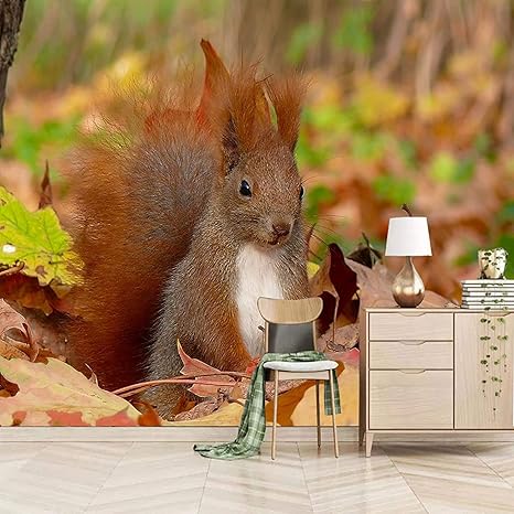 Amazon 動物の森のリス 壁紙 3d 寝室の壁紙壁画自己粘着リビングルーム写真壁画ポスター現代の壁の壁紙オフィス研究ソファテレビの背景 250x175 Cm 壁紙 Amazon 動物の森のリス 壁紙 3d 寝室の壁紙壁画自己粘着リビングルーム写真壁画ポスター現代の壁の壁紙オフィス研究ソファテレビの背景 250x175 Cm 壁紙