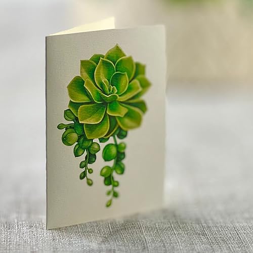Miniatura 4 de Freshcut Paper Tarjetas desplegables jardín de cactus ramo de flores para siempre tamaño real tarjetas de felicitación 3D con tarjeta de notas en
