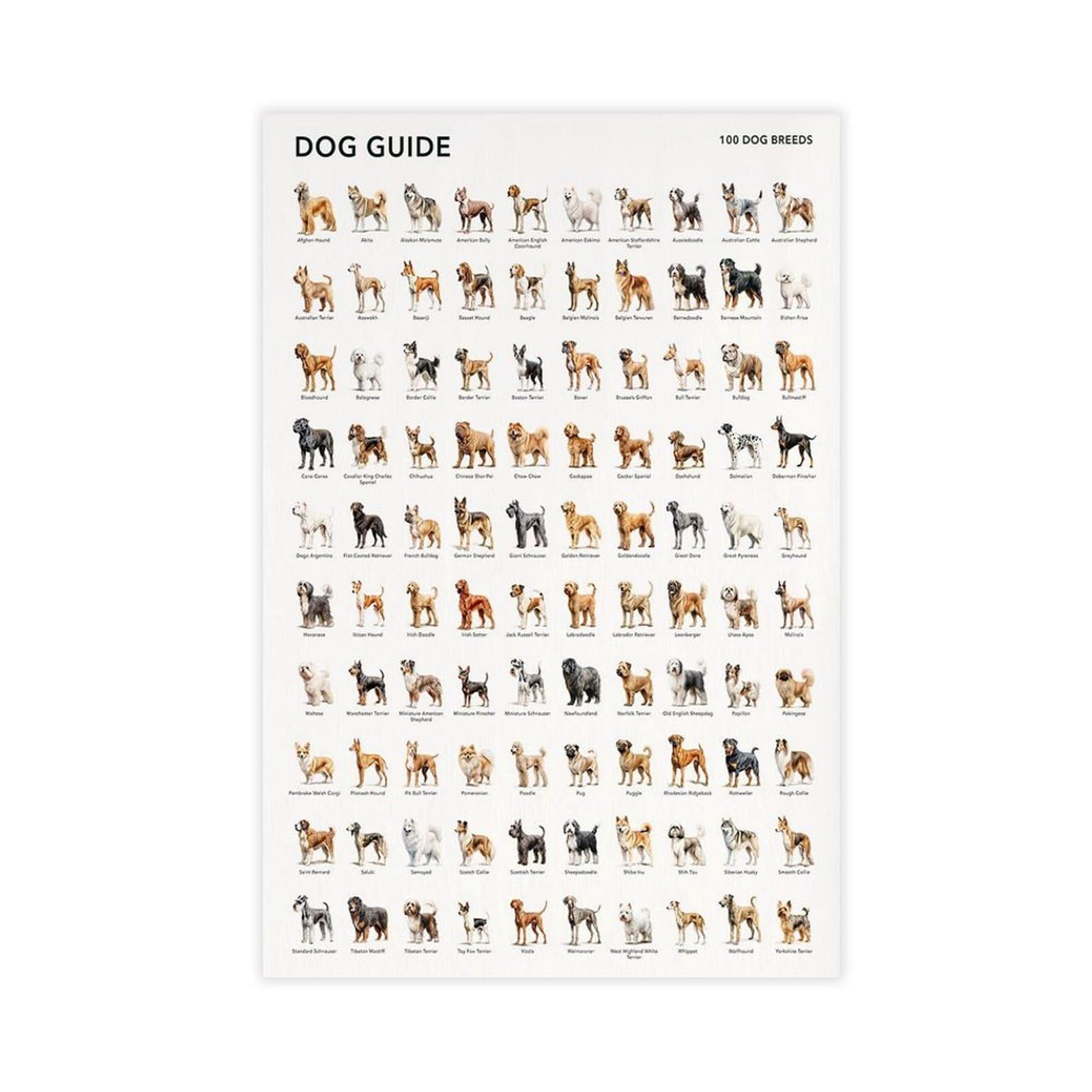 UTGN 100 Dog Breeds Poste Canvas Poster Wall Art Print Picture Paintings 16x24inch(40x60cm)