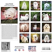 Vista 611 de Razas de Perros 2017