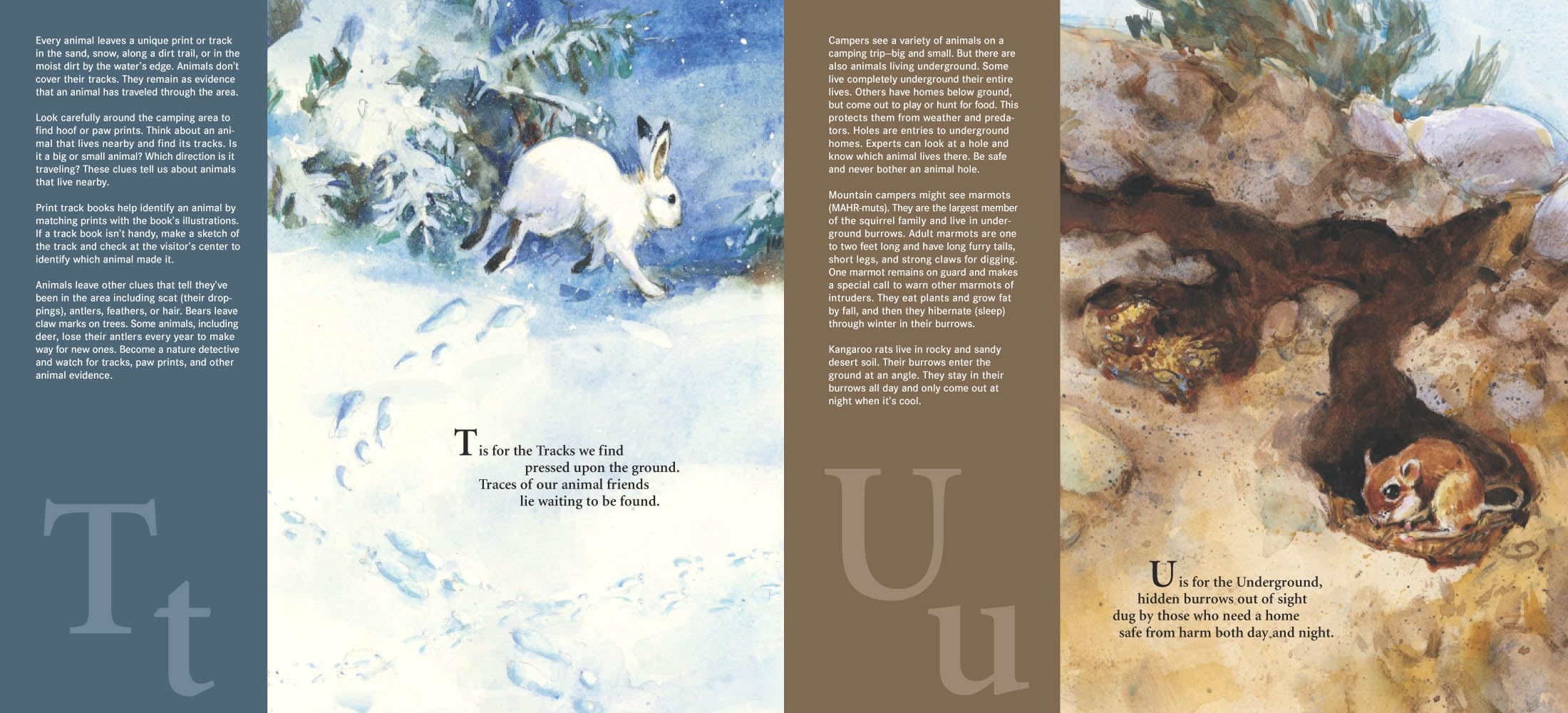 S Is for s'Mores: A Camping Alphabet (Sleeping Bear Press Sports & Hobbies)