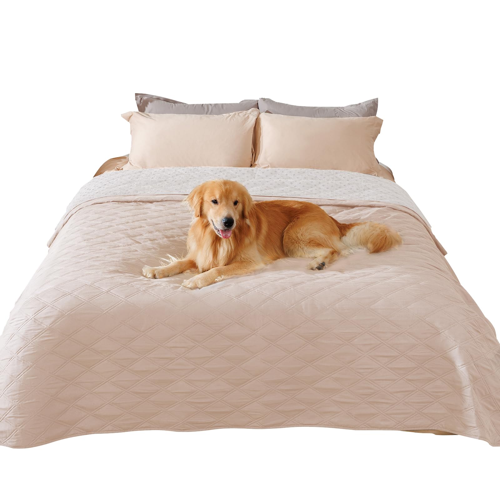 Luciphia 100% Waterproof Couch Cover Blanket for Dogs Anti-Slip Pet Couch Protector Sofa Mat Puppy Cat Blanket with Non-Slip Bottom, Beige, 82x120 Inch