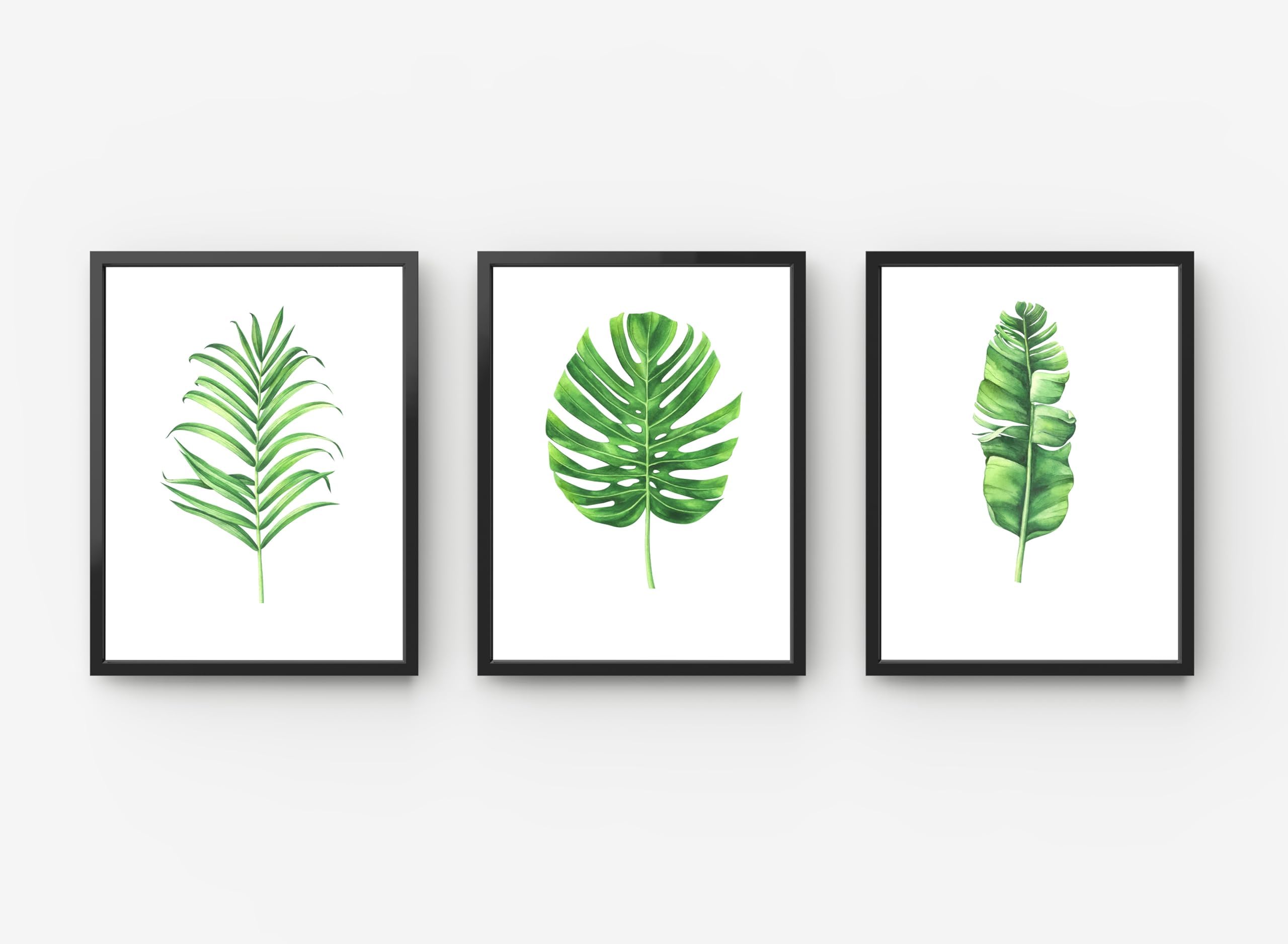 GIFTSHOPUK Botanical Leaf Prints Set Of 3,Greenery, Wall Art, Tropical Palm Print, Wall Art, Botanical Print, Living Room, Bedroom Prints (Black Frame - A2)