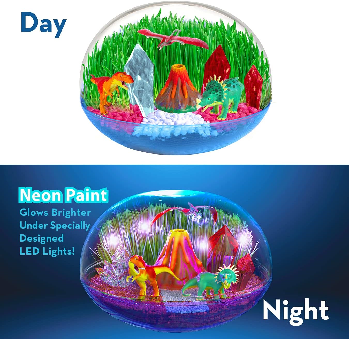 Little Growers Dinosaur Terrarium Kit for Kids with Neon Paint and LED Lights - Plant and Grow Mini Light Up Garden - Science and Craft Kits for Boys and Girls - STEM Age Gardening Gifts and Toys : Toys & Games