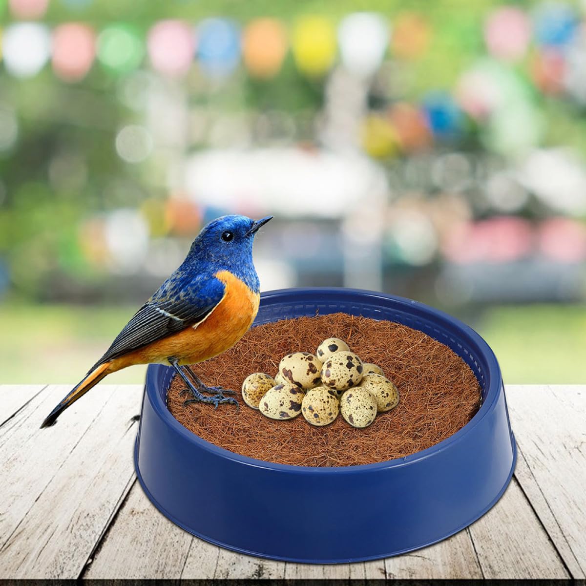 iplusmile Nistschalen für Tauben aus Robustem Kunststoff Praktisches in Blau Nicht Leicht zu Beschädigen als Nistplatz für Haushalt und Vogelbedarf