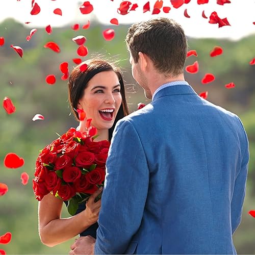 Miniatura 12 de Ouddy Decor 5000 pétalos de rosa artificiales para decoración de San Valentín, boda, evento nocturno romántico, aniversario, ducha, compromiso