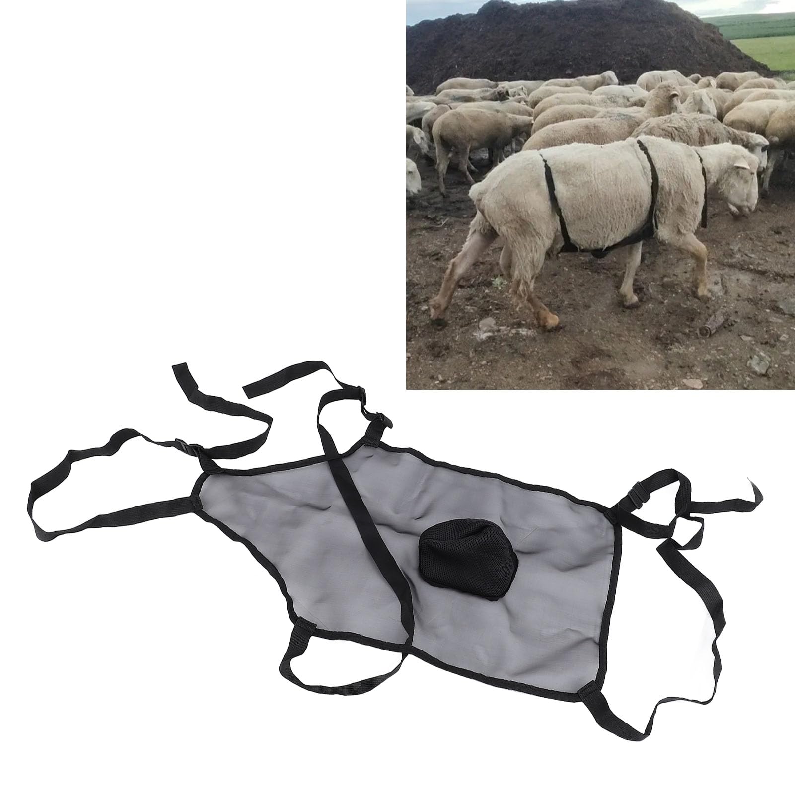 Tablier D'élevage Anti-Accouplement, Tissu Respirant de Protection, Vêtements D'élevage de Longue Durée, Tablier Anti-élevage, Jupe Anti-Accouplement pour Moutons et Chèvres (Noir)