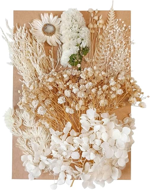 Dried Flowers Leaves Pressed Dried Flowers Mixed Multiple Natural Decorative Artificial Flowers Dried Flowers for Crafts Resin Cakes Diy Jewellery Nail Art Scrapbooks (White)