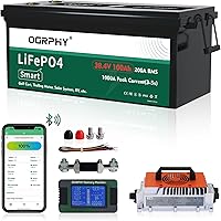 Vista 8 de Kit de conversión de batería de litio de 36 V, 200 A BMS, corriente máxima de 1,000 A, con monitor táctil y correa de retención, más de 4,000 ciclos