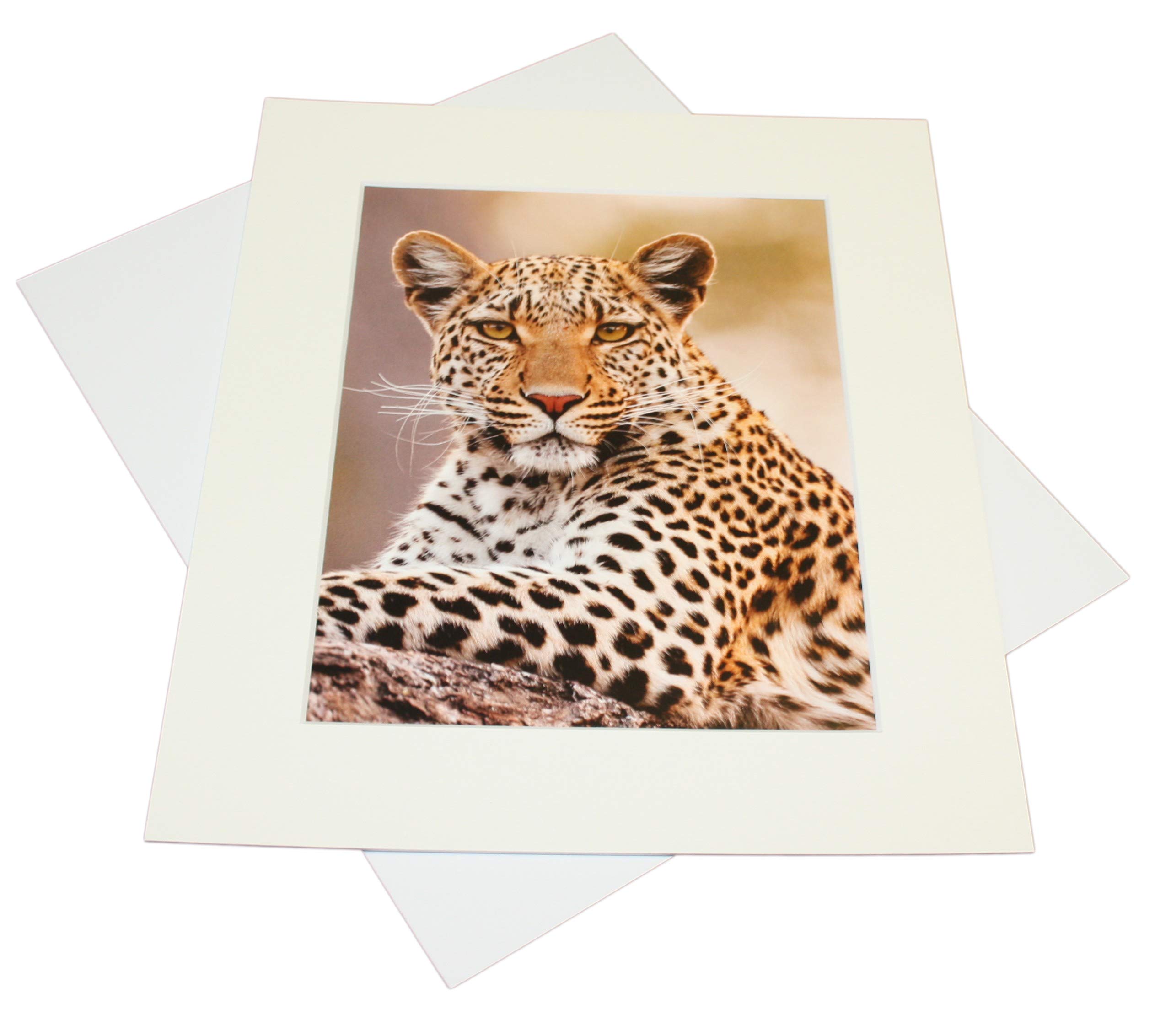 Black Photo Frames Pack Of 10 Picture Mounts For 20x16 Inch Frames - Aperture Fits A3 Prints, Acid-Free, Choice Of Colors (Antique White) A3 Picture Frame - View #10