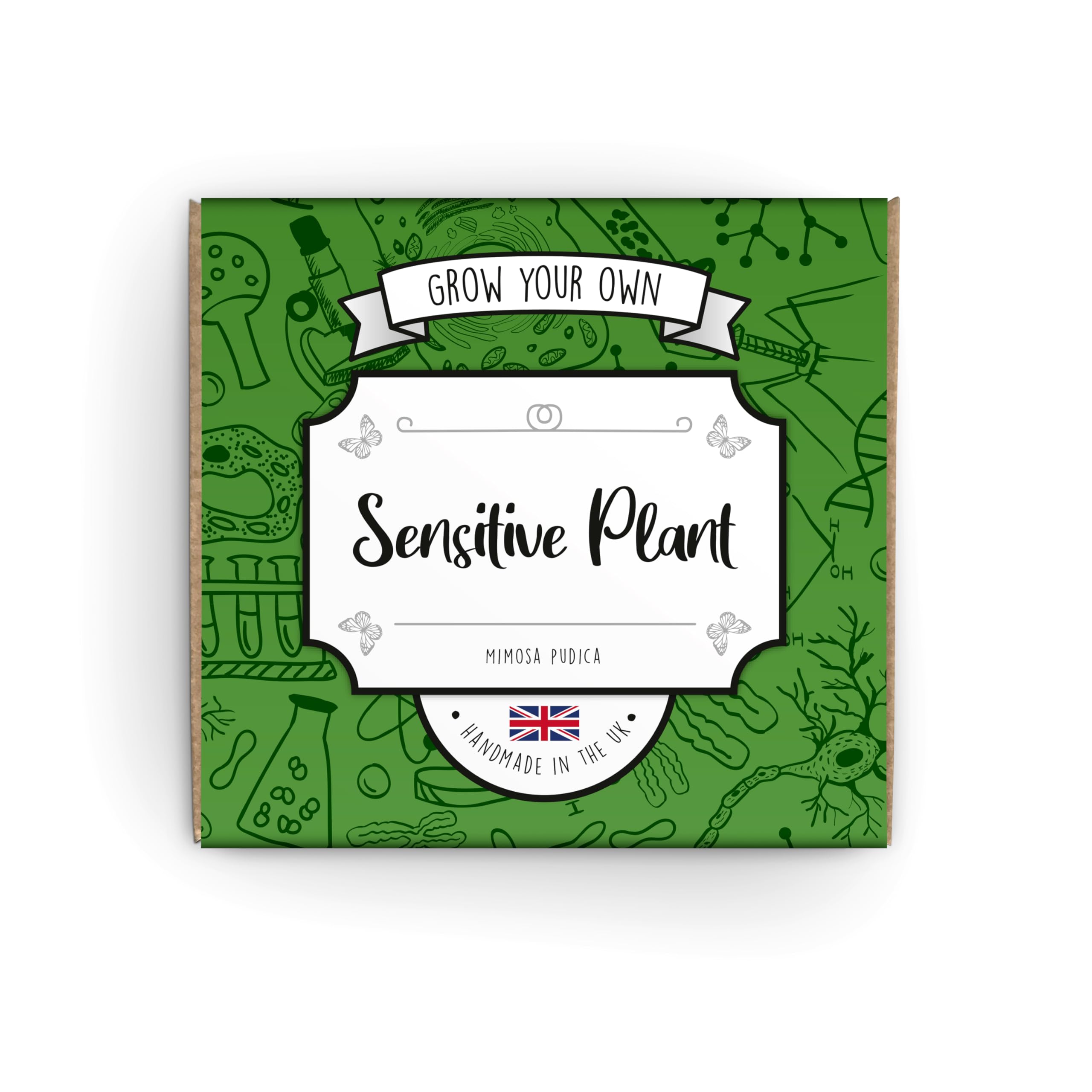 Sensitive Plant (Mimosa Pudica) Grow Kit: Seeds, Soil & Instructions | Fast Germination, Coco Coir Soil Mix | Educational Gardening Experience