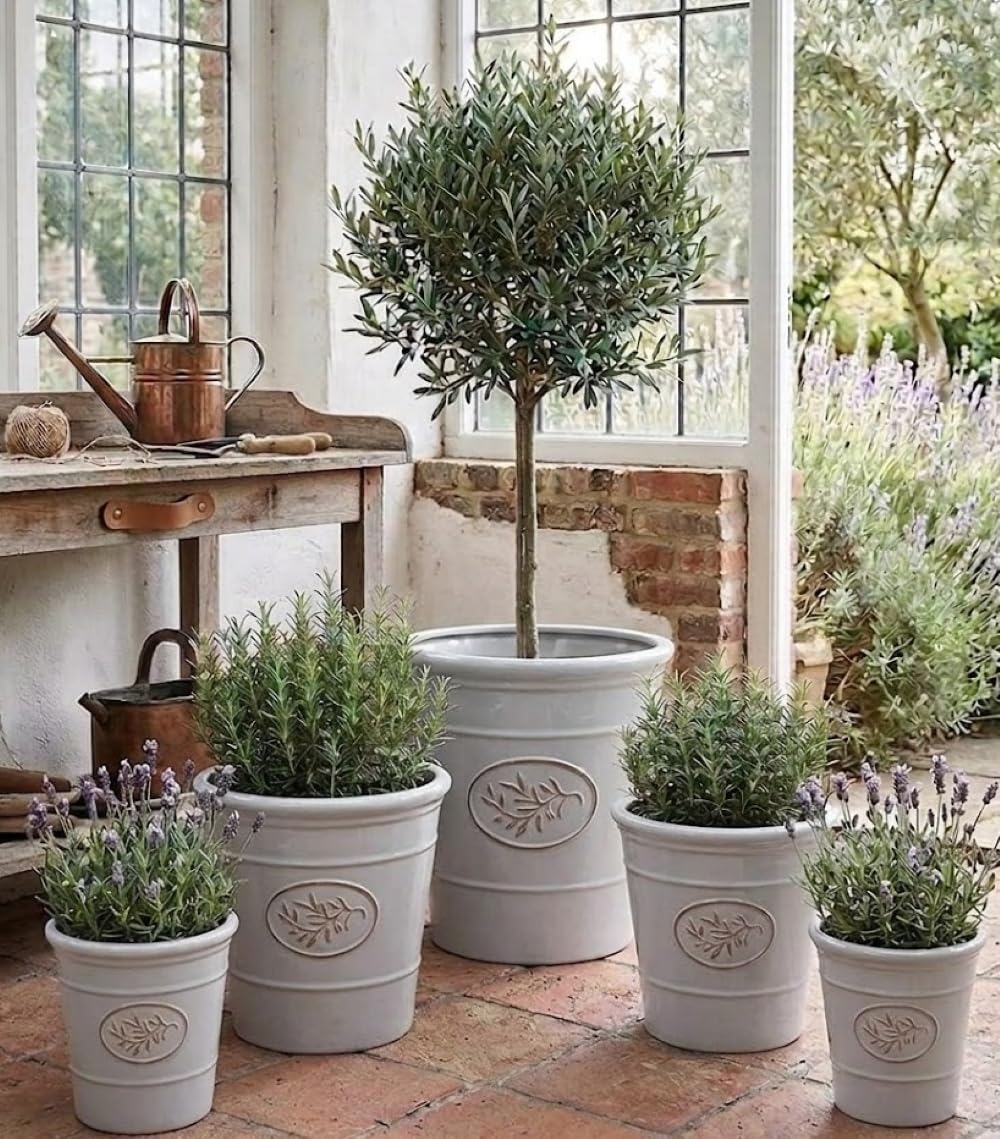 Garden Plant Pot Plastic Outdoor & Indoor Use, Heavy Duty, Frost Proof Small and Large, with Drainage Holes, Sage Green Grey, 17cm, 23cm, 30cm, 40cm Or 55cm (Light Grey, 40cm x 40cm 34 Litres)