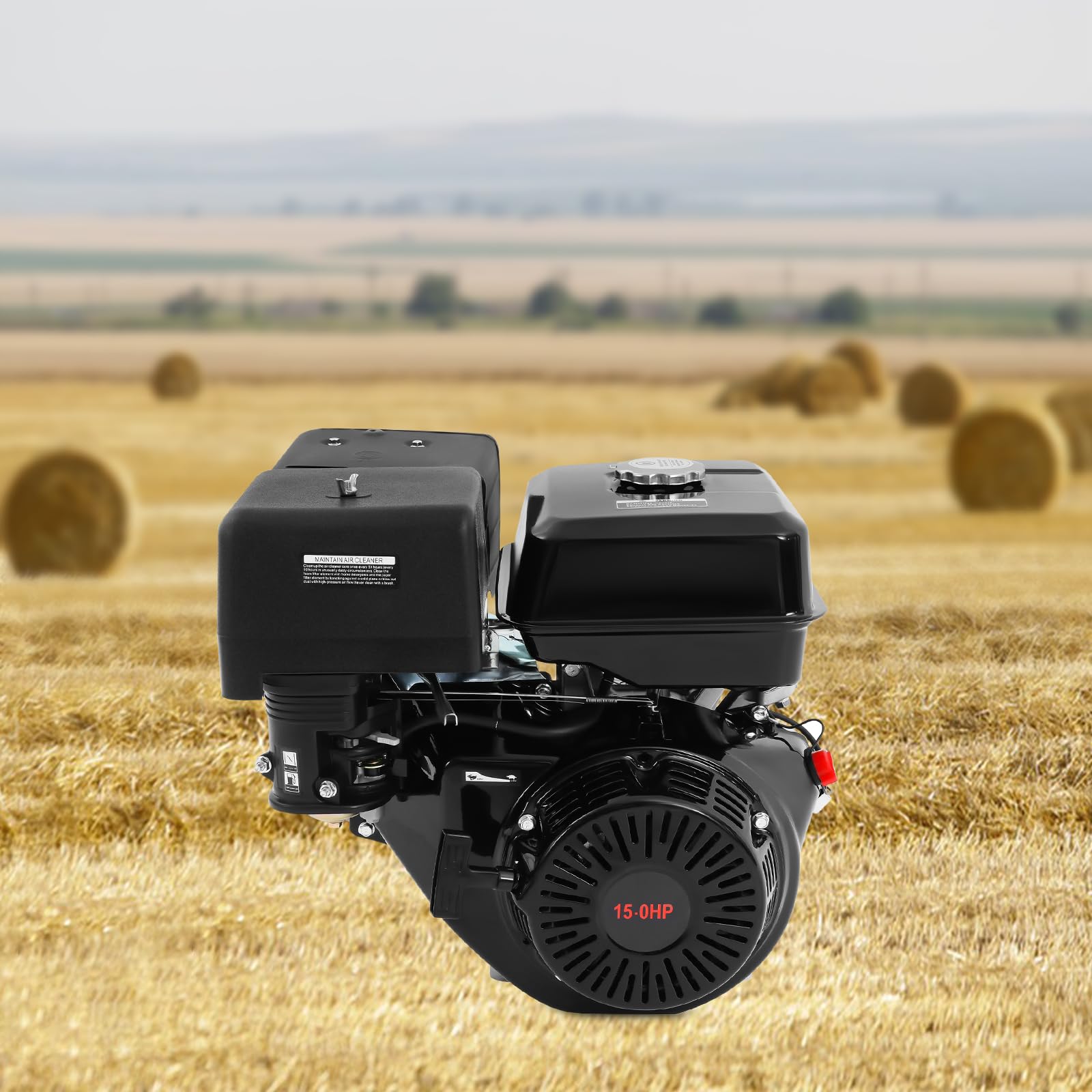 Motore a benzina, 15 CV, 9,7 KW, motore industriale, motore a 4 tempi, motore monocilindrico, 3600 rpm, 6,5 l