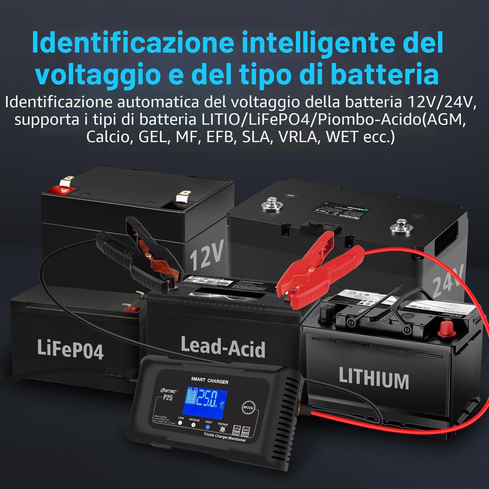 Haisito Caricabatterie da auto da 25 A, 12 V, 24 V, 25 A, caricatore di mantenimento e dispositivo di desolforazione, adatto per litio, LiFePO4, acido piombo (AGM, gel, EFB, MFecc.) moto, auto, barche