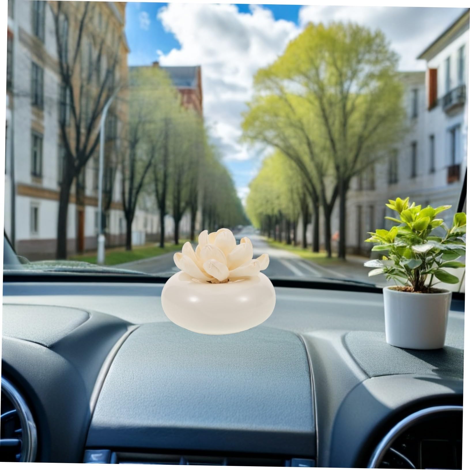 TOYANDONA Diffusore di Oli Essenziali Passivo in Ceramica Bianca, Assorbe L’olio e Rilascia Fragranza Lentamente, per Auto e Casa