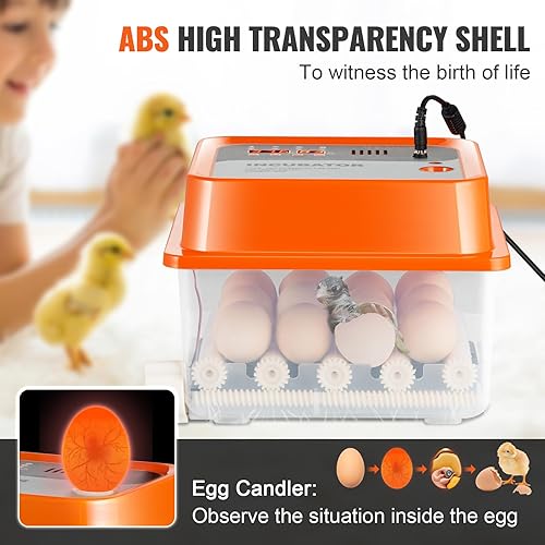 Miniatura 5 de VEVOR 360 incubadoras para eclosionar, girador automático con control de temperatura y humedad, 12 huevos para criar aves de corral con carcasa