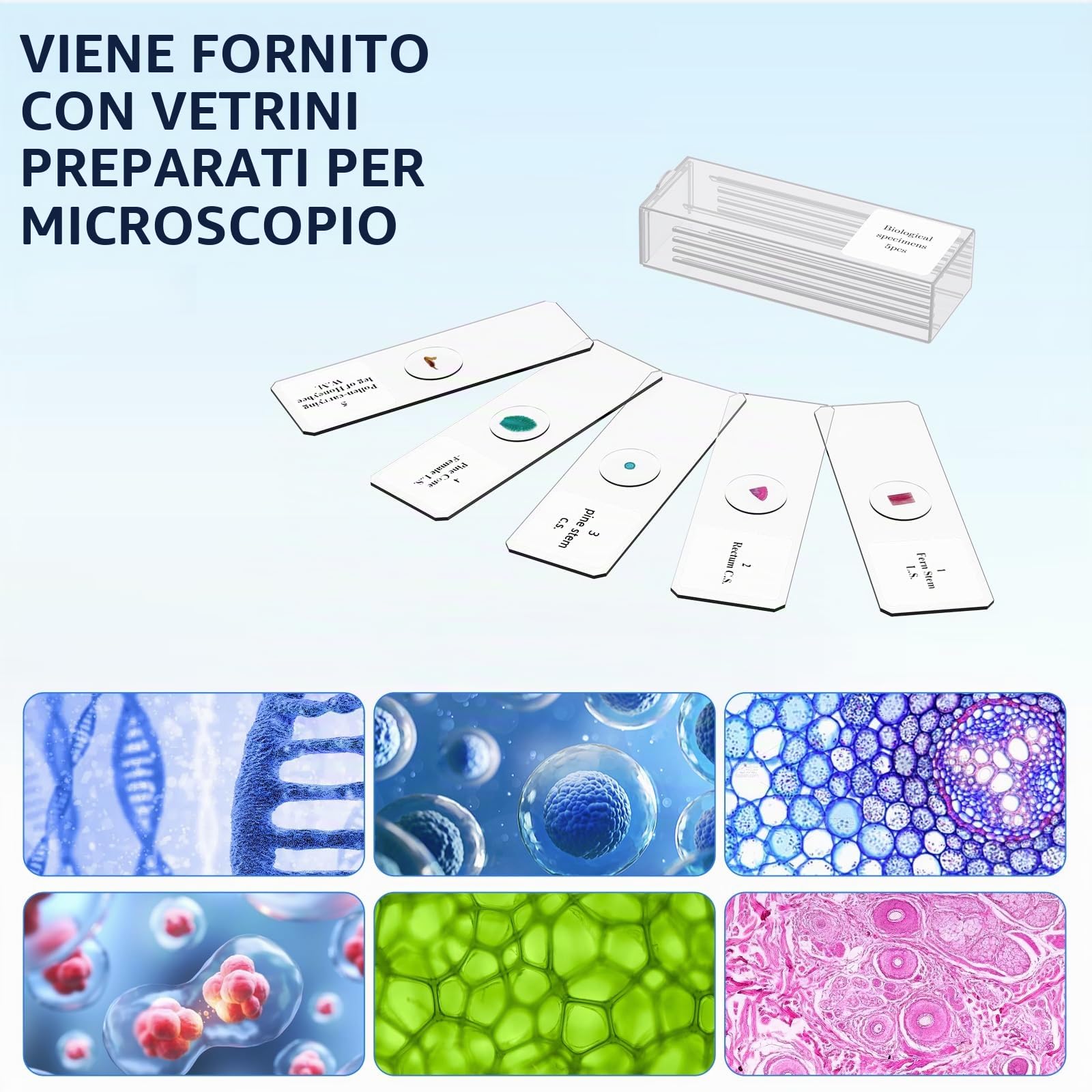 Microscopio per Bambini Adulti Principianti: Microscopio Biologico Composto 40-2000X con Kit Diapositive e Custodia per lo Stoccaggio - per Esplorare la Scienza e l'Educazione