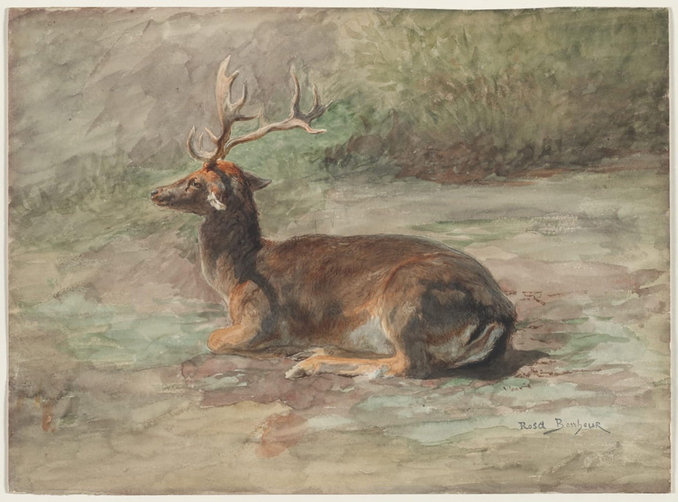 POSTERIIk Vintage Art Print Images Pictures Print Stag Lying Down by Rosa Bonheur Modern Colour Posters for Office Home Decor 60x90cm