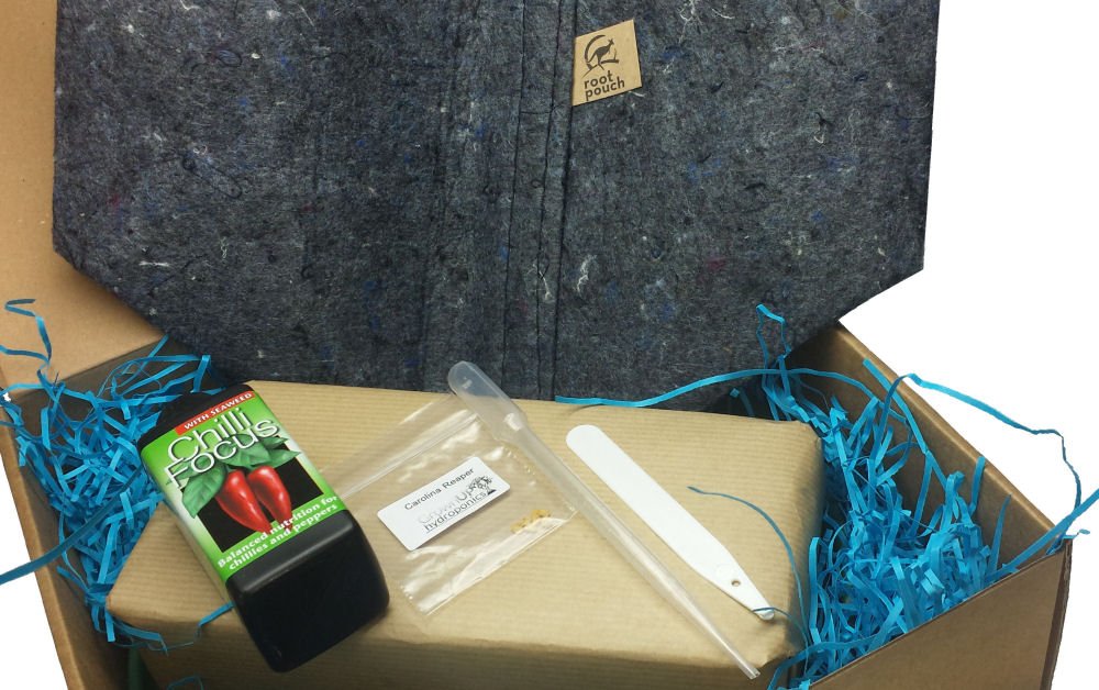 "Grow Your Own" Chilli Kits (Carolina Reaper)