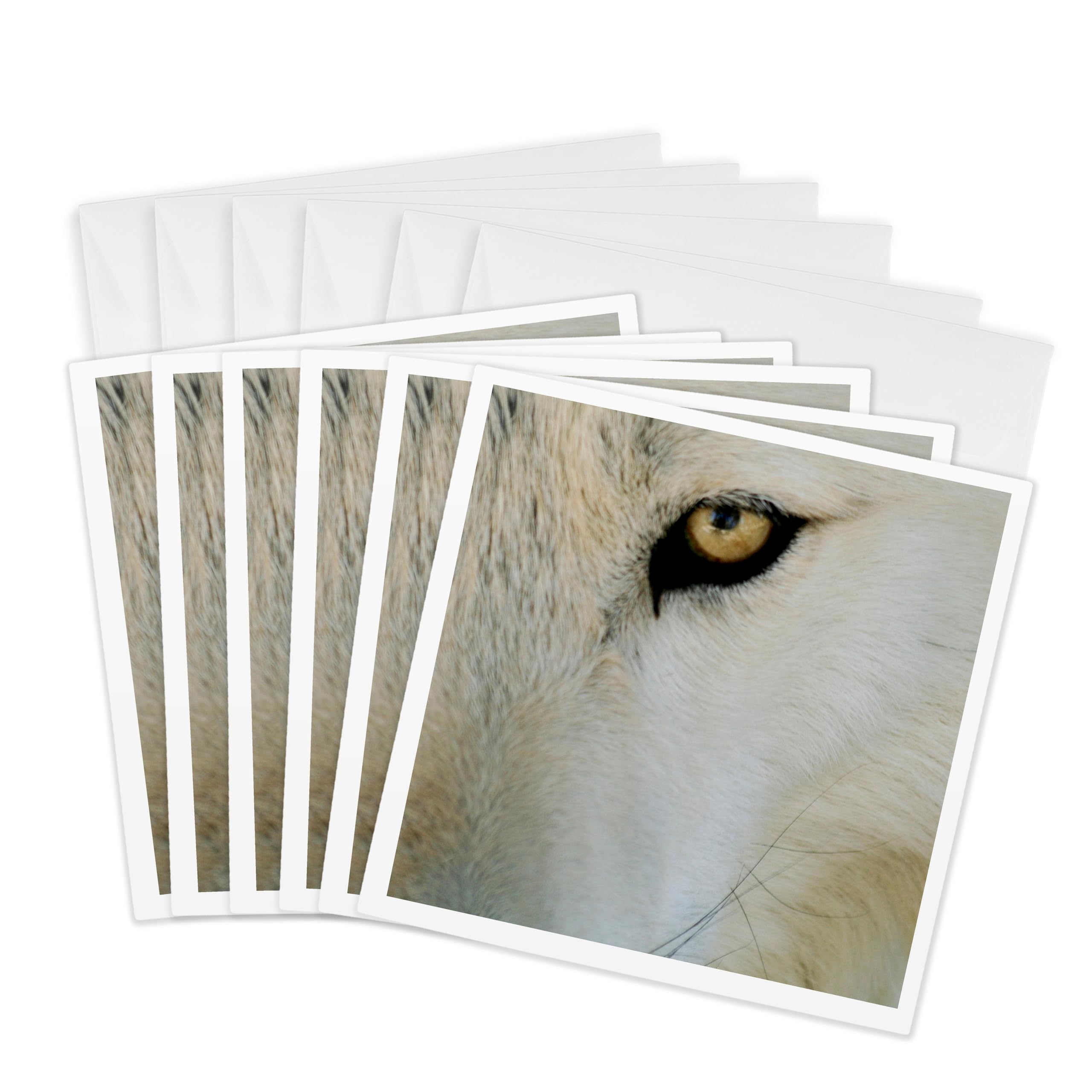 3dRose gc_231265_1 6 x 6-Inch"Ramah, New Mexico, United States Wild Spirit Wolf Sanctuary" Greeting Card (Pack of 6)
