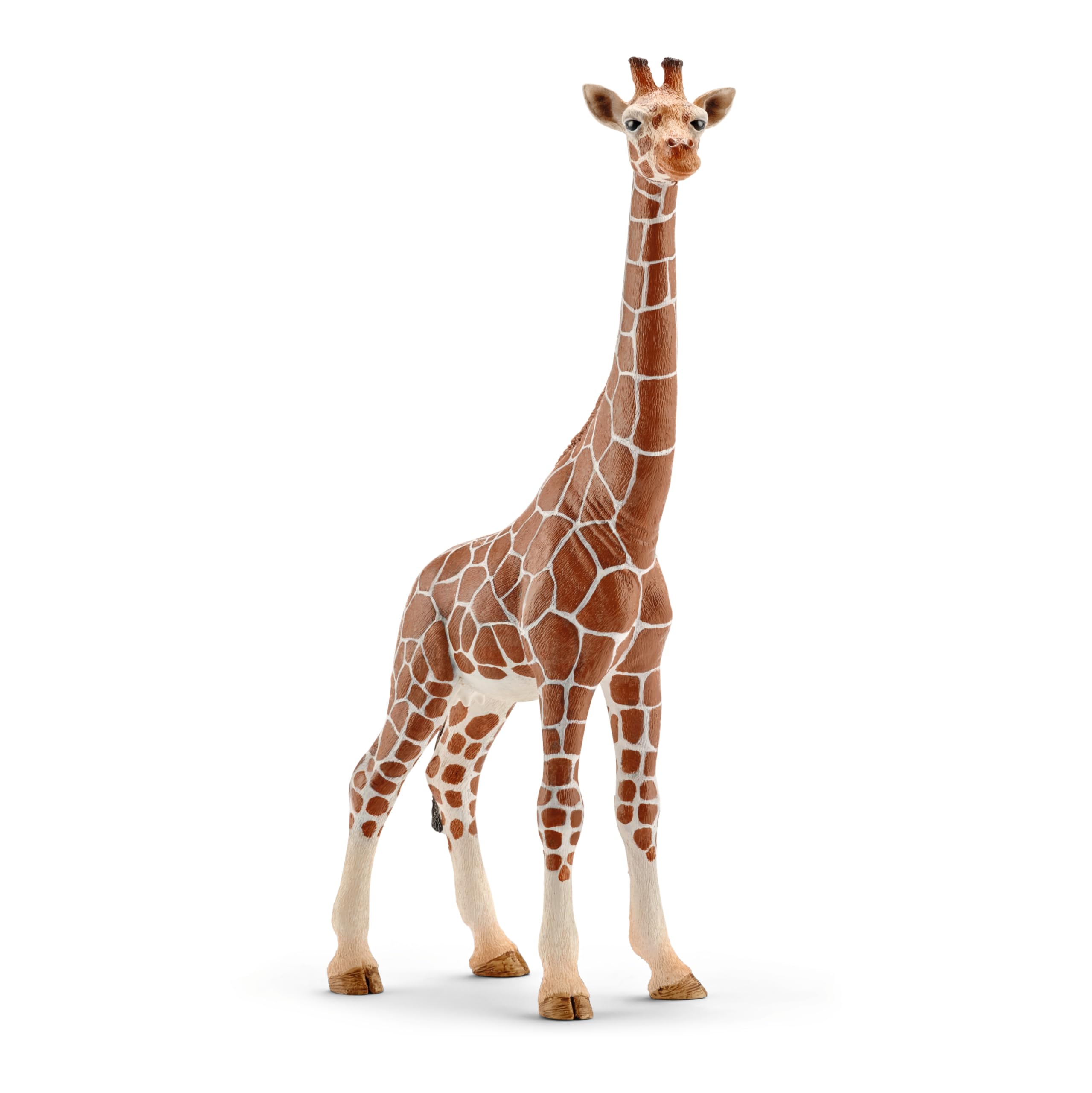 SCHLEICH WILD LIFE | Set animali selvaggi 72286 con leoni, giraffe, coccodrilli, scimmie ed elefanti | set di figure 5 pezzi | giocattolo zoo dai 3 anni | solo su Amazon