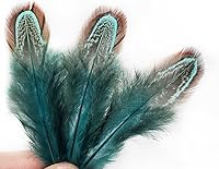Vista 4 de 50 piezas de plumas de plumaje de faisán natural de 2-3 pulgadas, plumas de plumaje para costura, manualidades, ropa, accesorios decorativos - azul