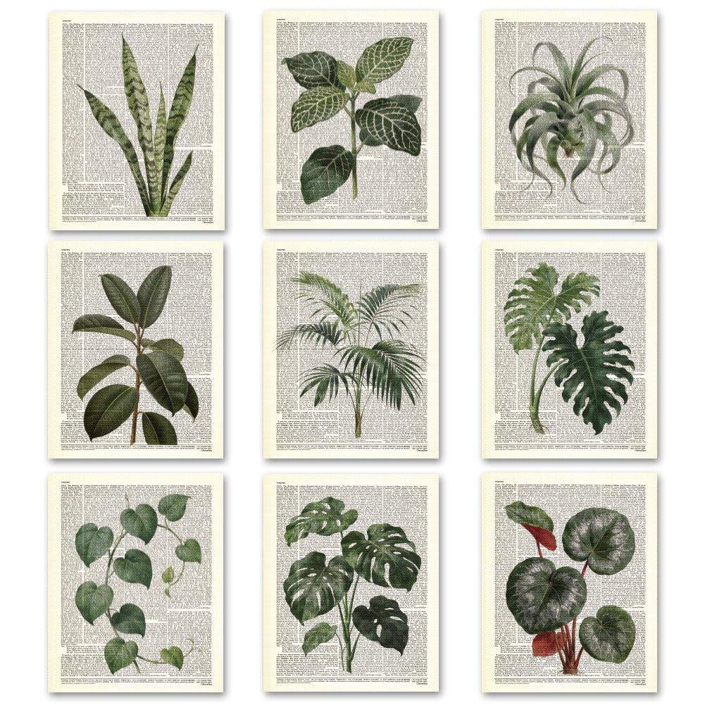 TNKBREEZE 9 Pcs Tropical Leaf Wall Art Newspaper Unframed Canvas Prints Poster Decor Artwork Aesthetic Paintings for Back to School Living Room Kitchen Bedroom Bathroom Florist 8x10In