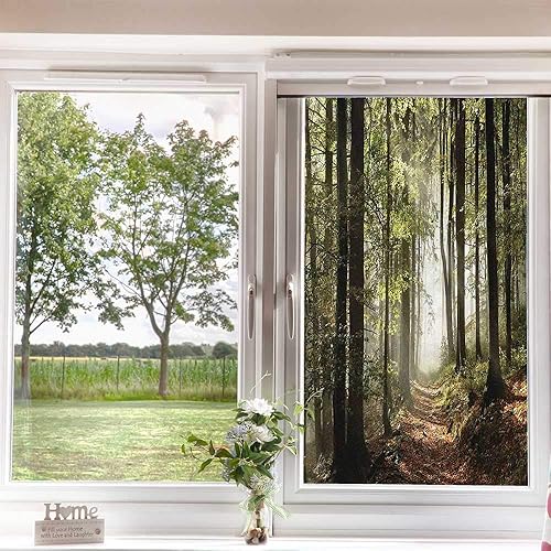 Miniatura 3 de Ventana de privacidad para ventana de bosque, camino otoñal del bosque en las montañas con niebla en la distancia, escena salvaje, ventana