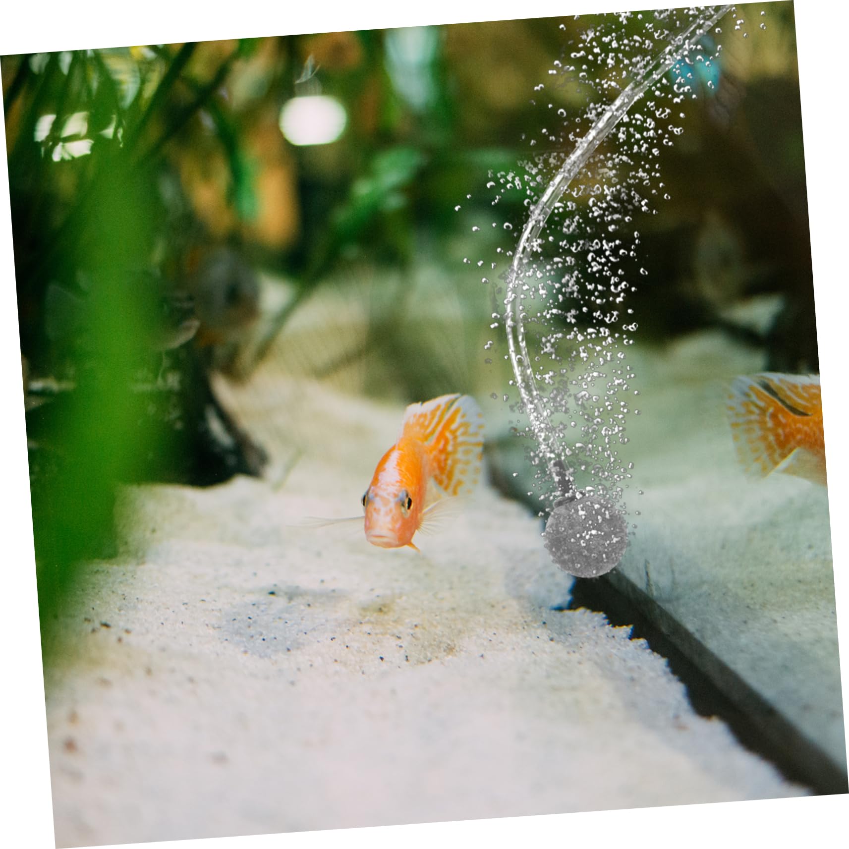 10 Pièces Diffuseur Bulle Air D'aquarium Pompe à Air pour Aquarium Fabricant De Bulles D'aquarium Diffuseur d'air d'air Oxygène D'aquarium Qipanshi Pierre à Bulles