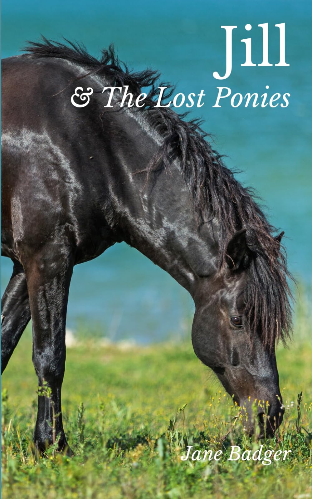 Jill and the Lost Ponies: What Happened Next: 10 (The Jill Crewe Stories)
