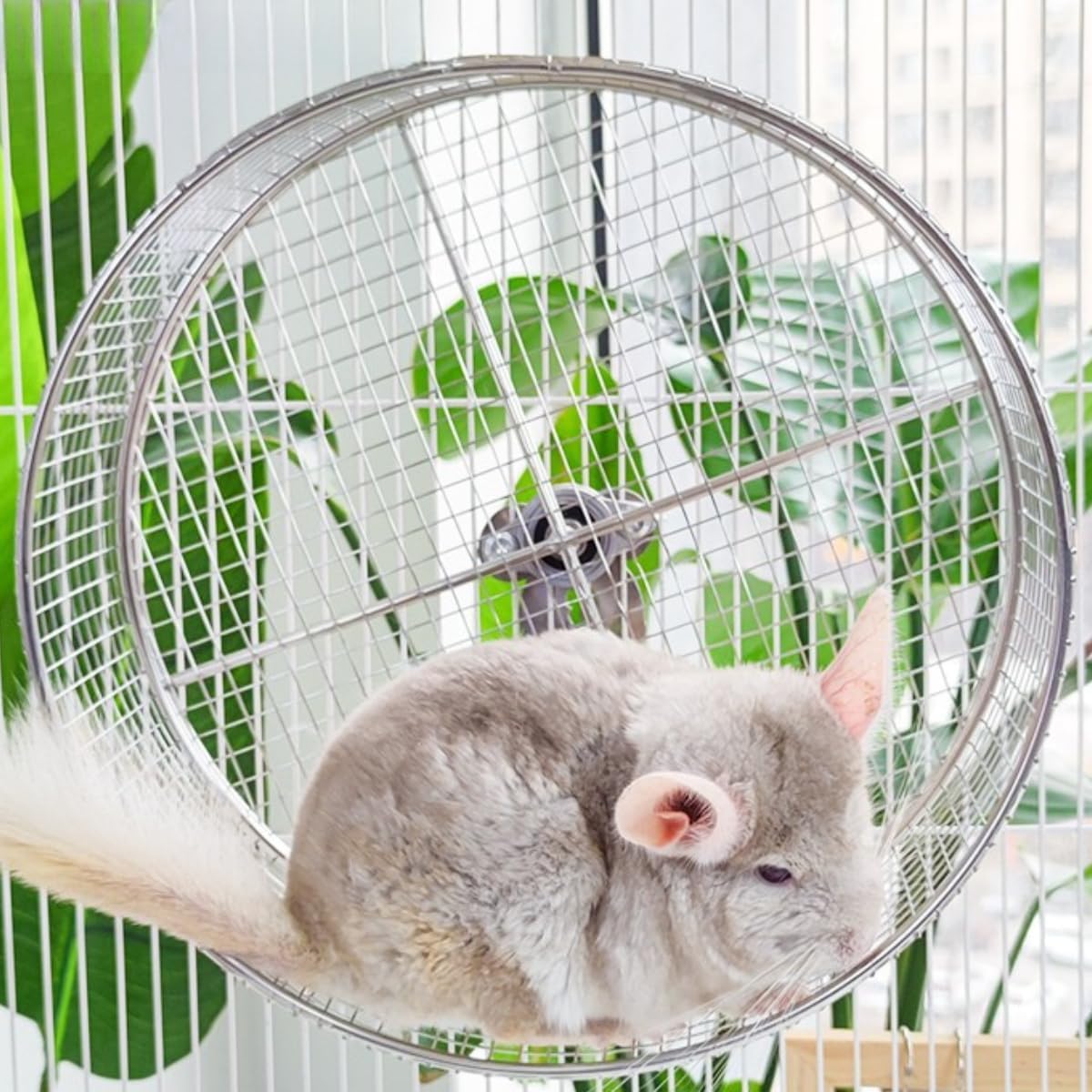 Large Stainless Steel 11.81''L x 3.94''W x 11.81''H Silent Running Wheel for Chinchilla, Toys for Cage, Super Mute Spinner Exercise Running Wheel for Gerbils, Rat, Mice