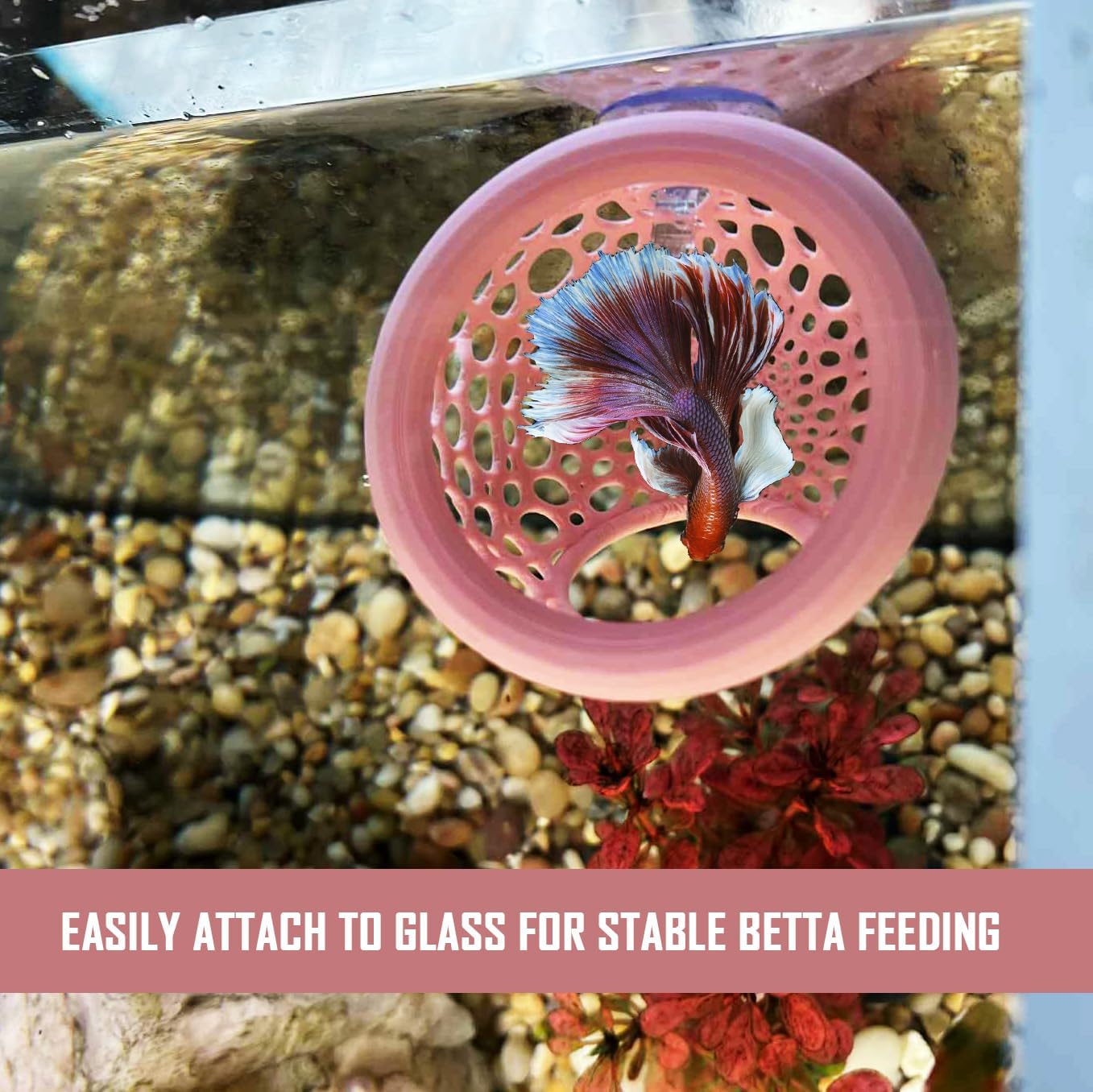 Floating Betta Tunnel with Suction Cup, Floating Betta Fish Toys, Aquarium Fish Feeder, Promote Excercise & Stress Relief, 3" W x 2.2" H (Pink) image 5