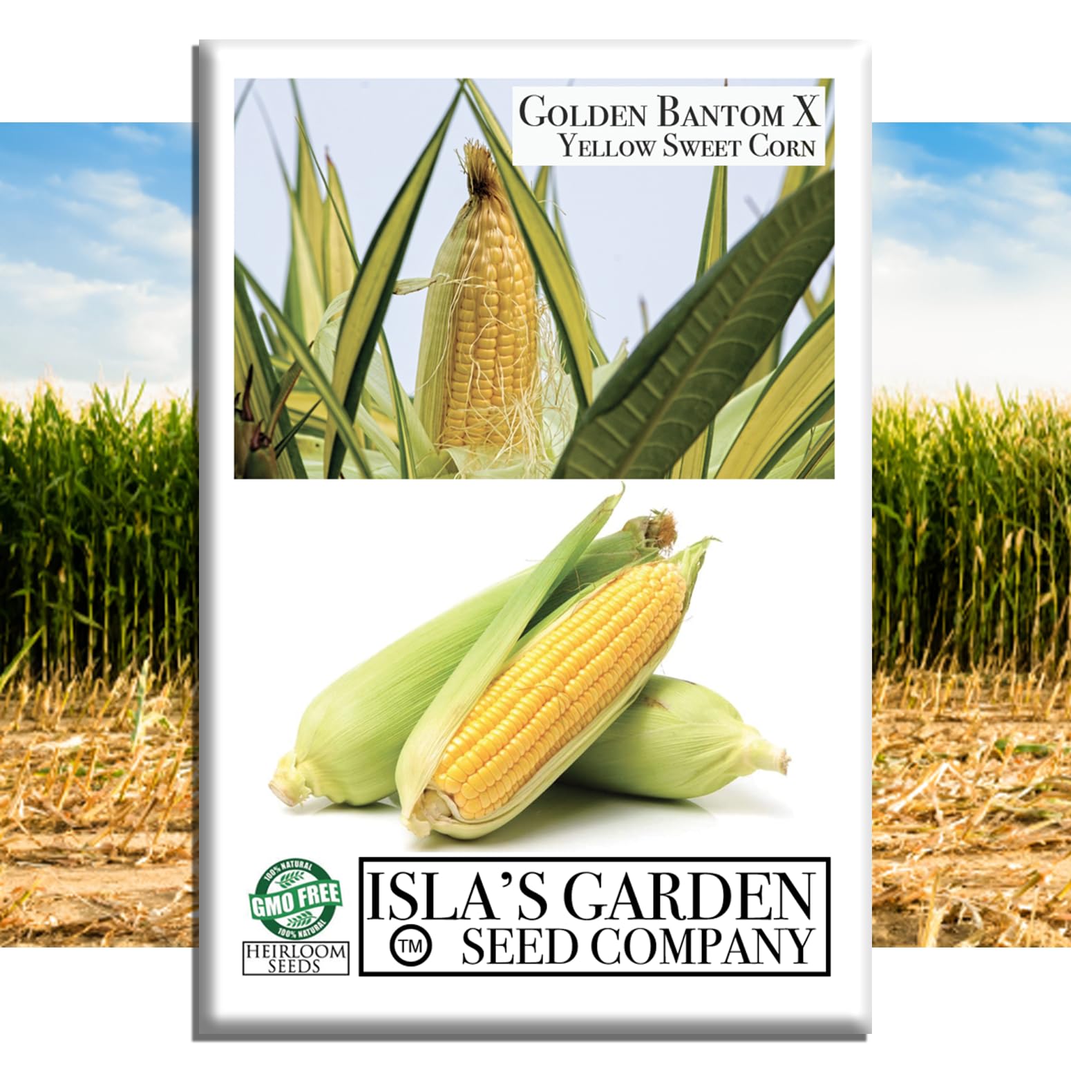 Golden X Bantam Corn Seeds – 50+ Heirloom Non-GMO Seeds by Isla’s Garden Seeds, Sweet & Tender Kernels, High-Yield Variety, Perfect for Home Gardens, Easy to Grow, Great for Fresh Eating & Cooking