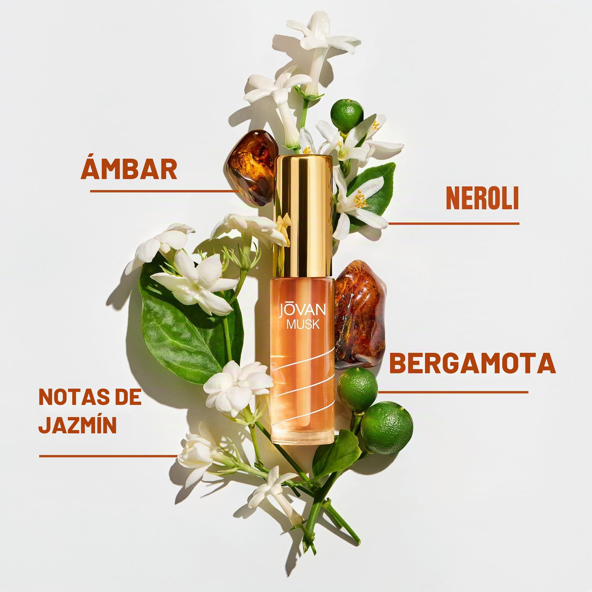 Jovan Musk Perfume Oil, 1er Pack (1 x 9.7 ml)