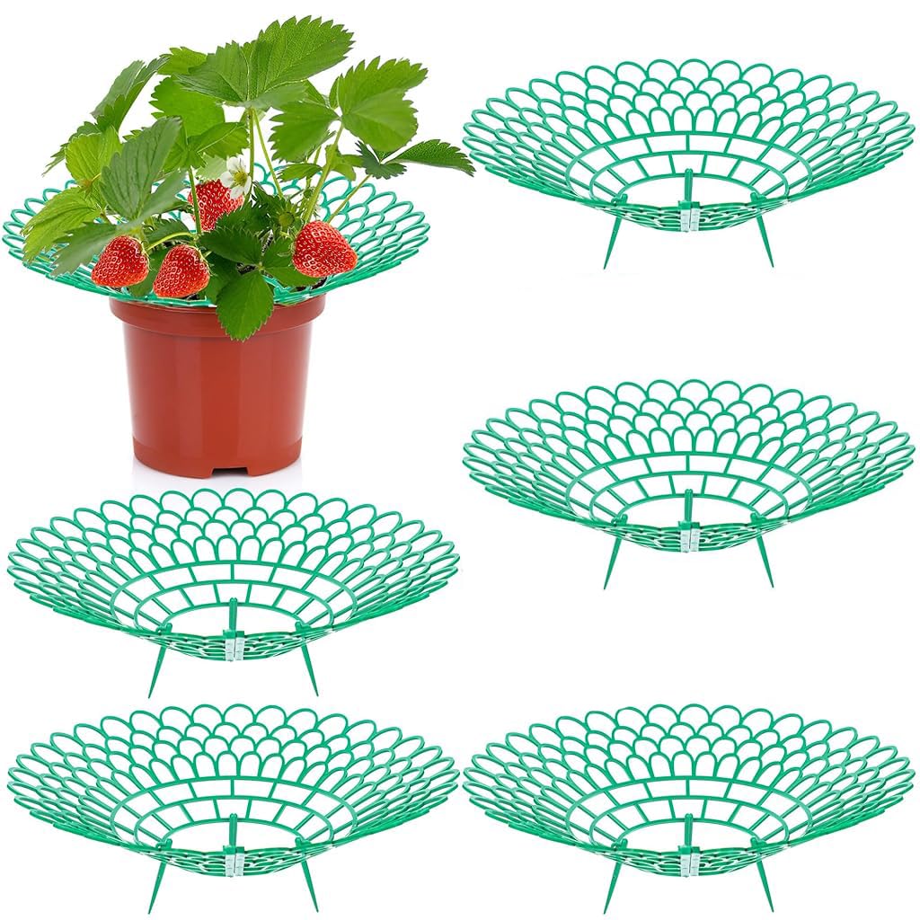 HASTHIP® 5 Pcs Strawberry Plant Supports - 30CM Plastic Strawberry Planter - Strawberry Plant Protector Stand with Legs - Strawberry Growing Holder & Support Rack - Plants from Mold, Rot & Dirt (B0D6RNDZMM) Amazon Price History, Amazon Price Tracker