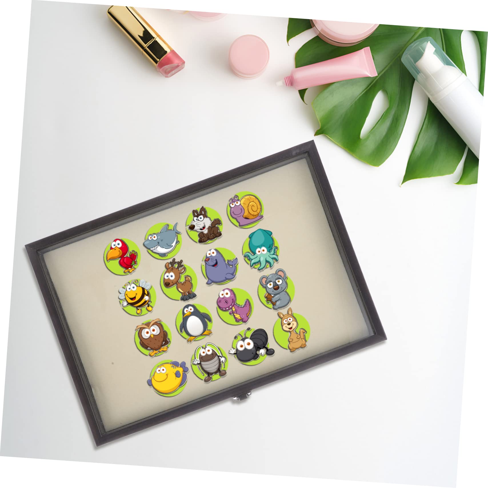 Scatola Per Esposizione Spille Trasparente Contenitore Per Gioielli Medaglie e Accessori Design Elegante Per Collezionisti e Appassionati Di Brooch Pin