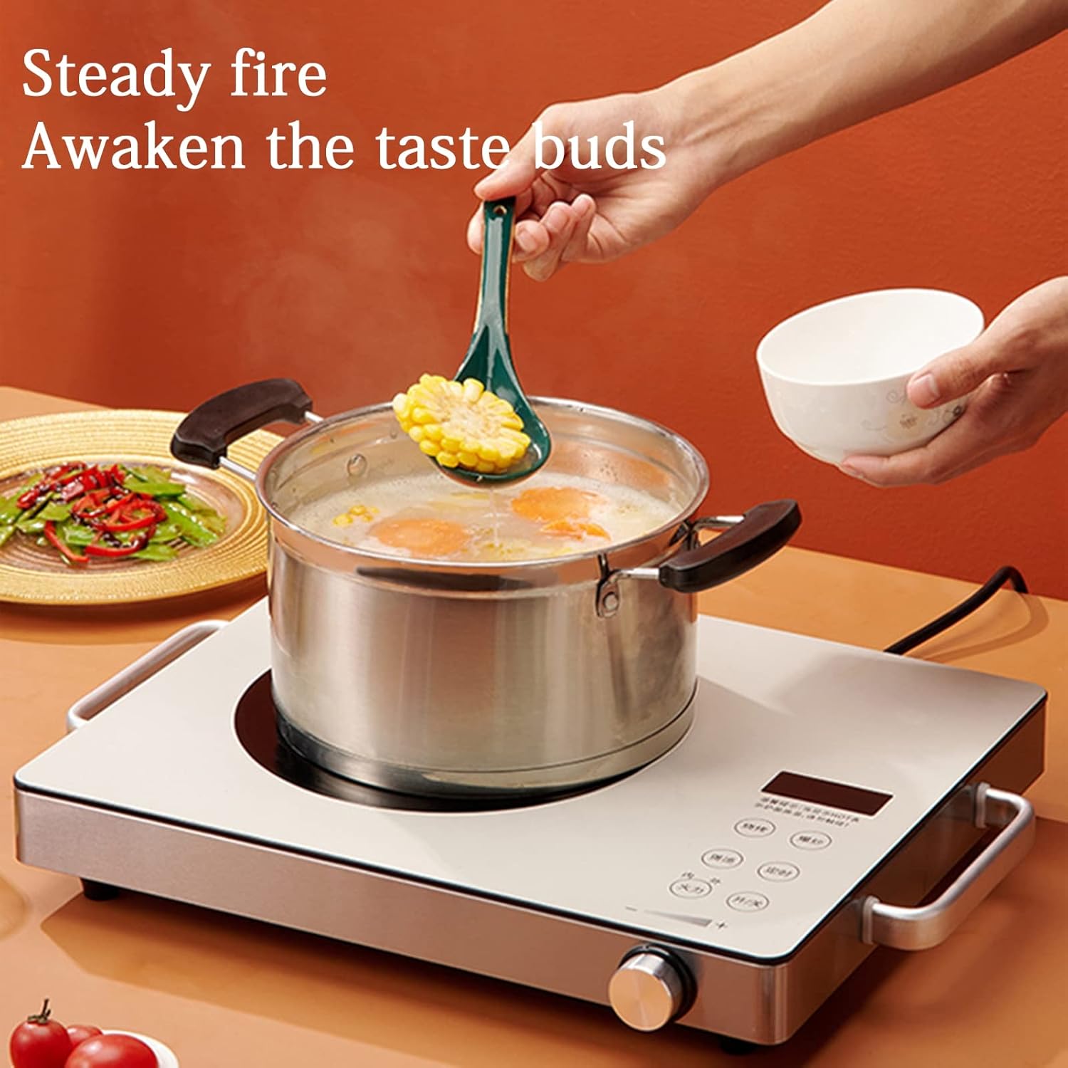 Countertop Burners Temperature Control Kitchen Induction Cooker Ceramic Glass Induction Cooktop Multi-Level Power, 2250W with Handle