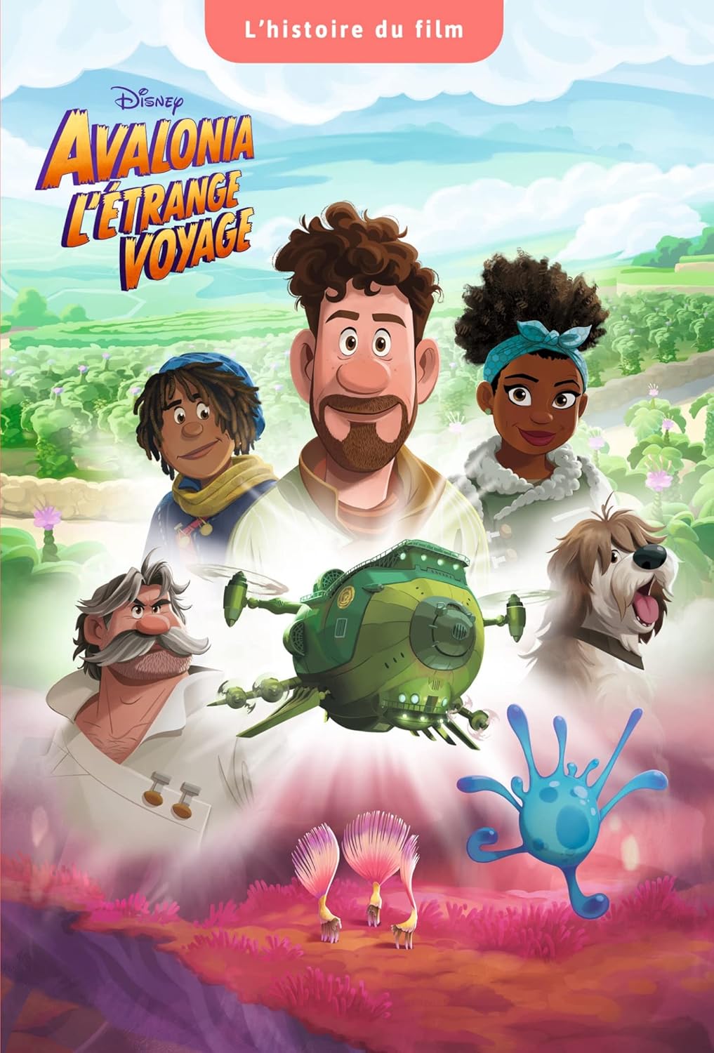 AVALONIA, L'ÉTRANGE VOYAGE L'Histoire du film Disney Amazon.co.uk Disney, Caussé